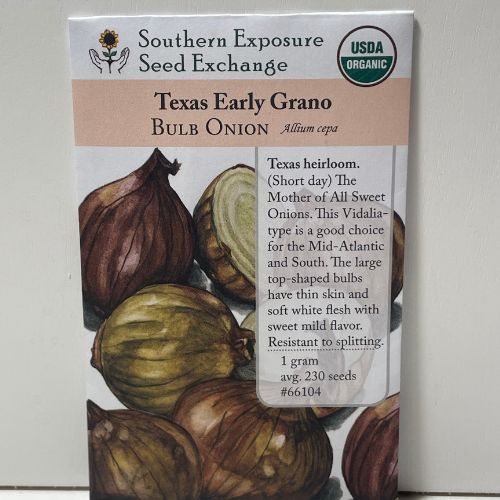 Texas Early Grano Onion Seeds, 1933 Texas Heirloom, Short-Day, Organic