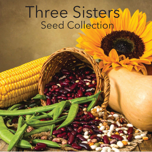 The Three Sisters - Traditional and Modern Options, all with Heirloom Seeds