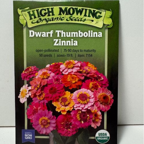 Dwarf Thumbolina Zinnias Flower, Organic