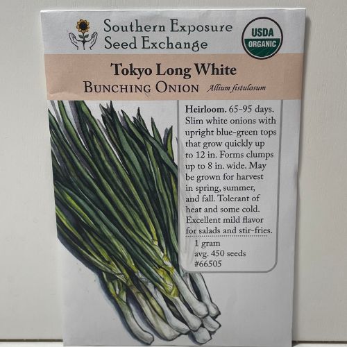 Tokyo Long White Bunching Onion Seeds, Heirloom, Organic