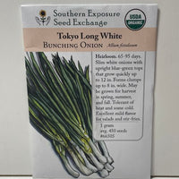 Thumbnail for Tokyo Long White Bunching Onion Seeds, Heirloom, Organic