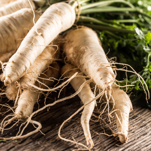 Turga Parsnips Fresh From the Garden