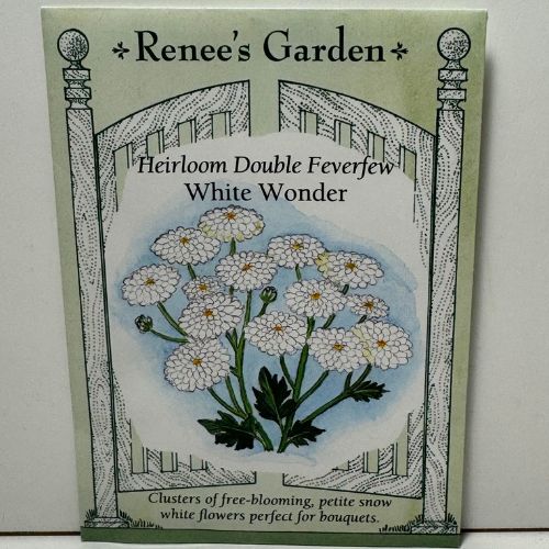 White Wonder Double Feverfew Herb, Ancient Heirloom