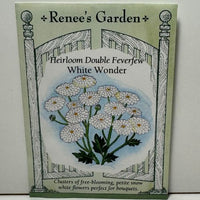 Thumbnail for White Wonder Double Feverfew Herb, Ancient Heirloom