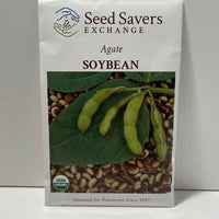 Thumbnail for Organic Agate Soybean Seeds