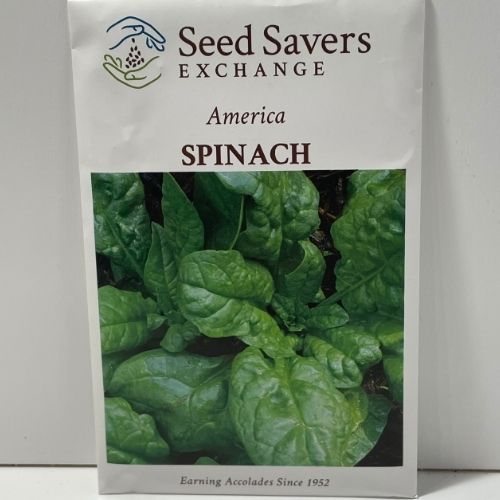 America Spinach Heirloom Seeds