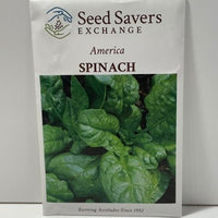 Thumbnail for America Spinach Heirloom Seeds