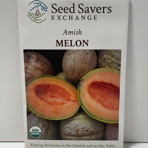 Organic Amish Melon Heirloom Open Pollianated Seeds