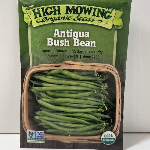 Organic Antigua Bush Bean Open Pollinated Seeds
