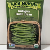 Thumbnail for Organic Antigua Bush Bean Open Pollinated Seeds