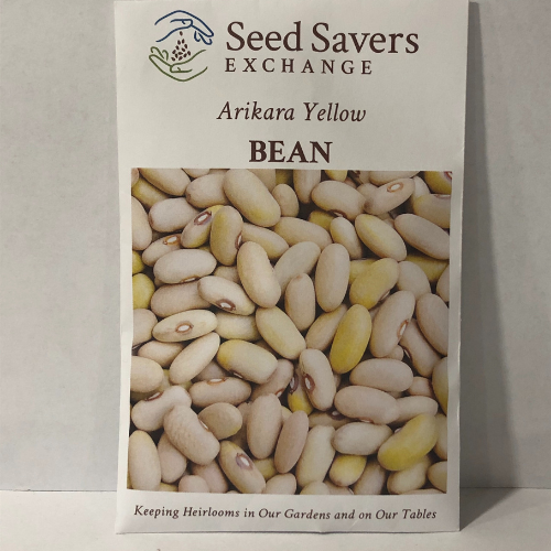 Arikara Yellow Bush Bean, pre-1800’s Heirloom