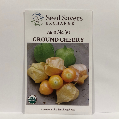 Organic Aunt Molly's Ground Cherry