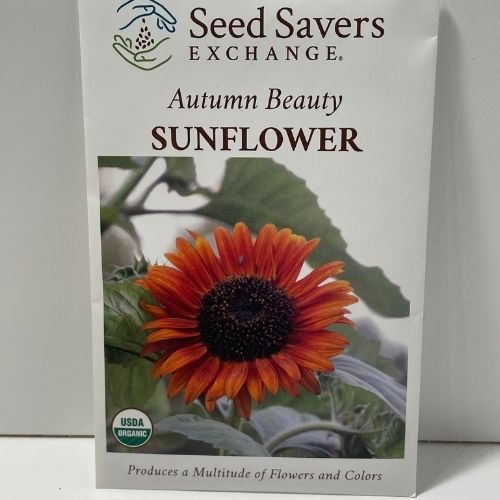 Organic Autumn Beauty Sunflower Open Pollinated Seeds