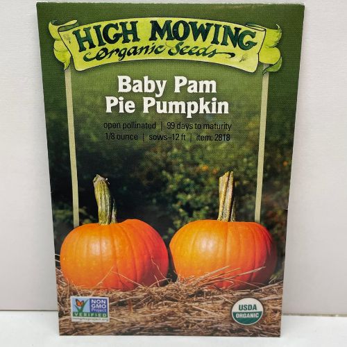 Baby Pam Pie Pumpkin
