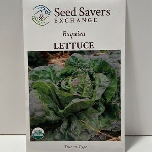 Organic Baquieu Lettuce Heirloom Open-Pollinated Seeds