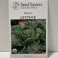 Thumbnail for Organic Baquieu Lettuce Heirloom Open-Pollinated Seeds