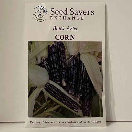 Black Aztec Open-Pollinated Corn