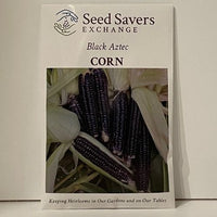 Thumbnail for Black Aztec Open-Pollinated Corn
