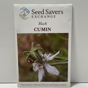 Black Cumin Heirloom Open-Pollinated Seeds
