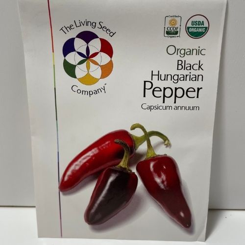 Organic Black Hungarian Pepper Rare Heirloom Seeds