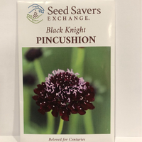 Thumbnail for Black Knight Pincushion Flower, Scabiosa