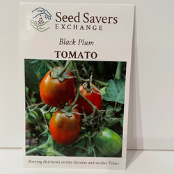 Black Plum Tomato