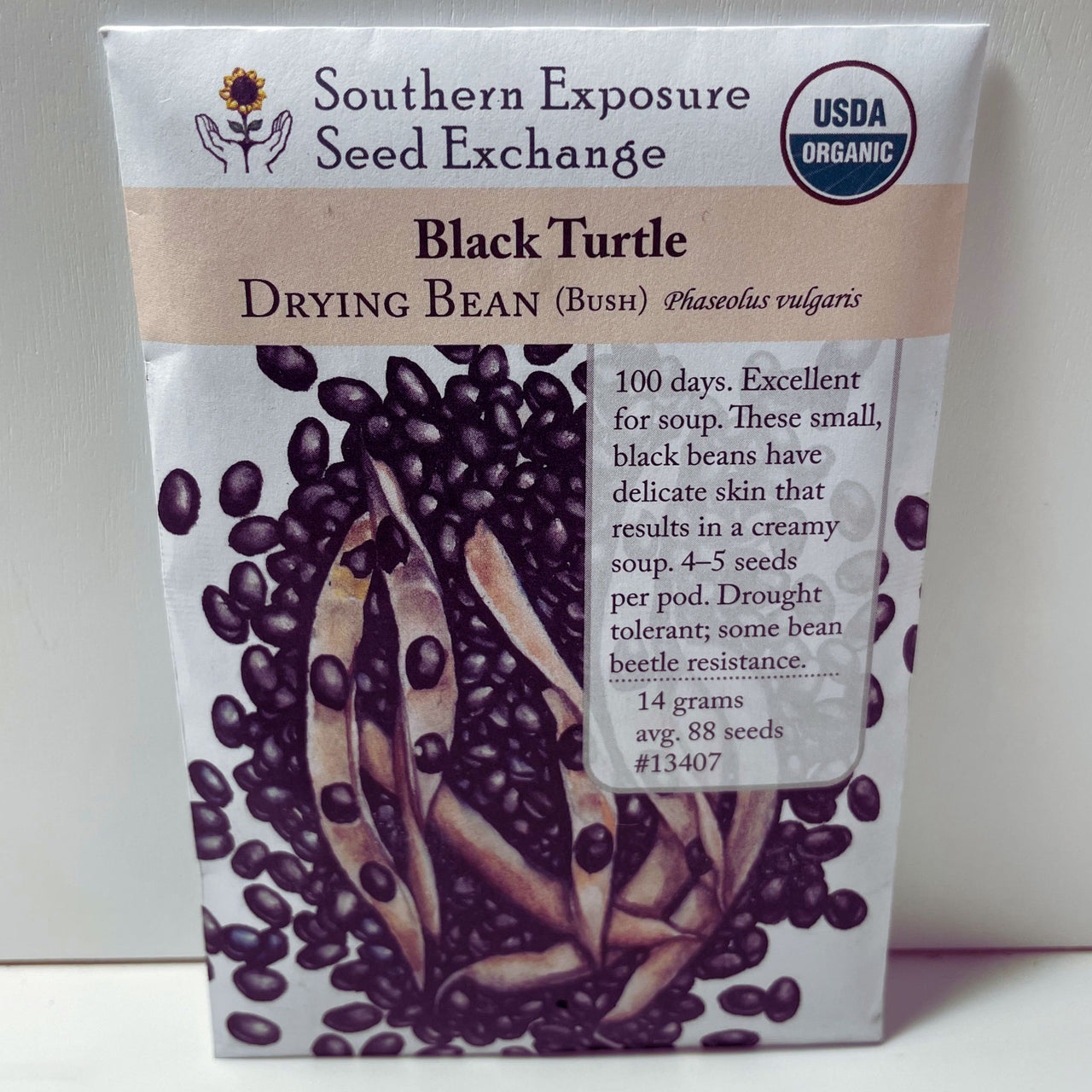 Black Turtle Black Bean, Organic