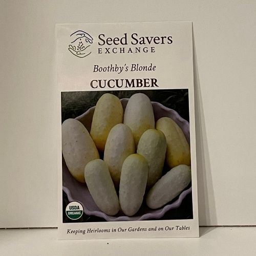 Organic Boothby's Blonde Cucumber, Heirloom Seeds