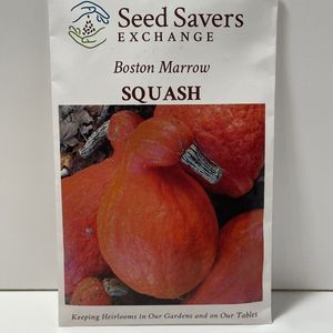 Boston Marrow Squash Heirloom Open Pollianted Seeds
