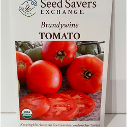 Brandywine Tomato, 1886 Heirloom organic