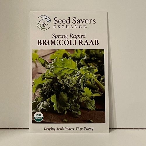 Spring Rapini Broccoli Raab Organic Seeds Open-Pollianted