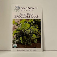 Thumbnail for Spring Rapini Broccoli Raab Organic Seeds Open-Pollianted