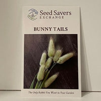 Thumbnail for Bunny Tails Flower