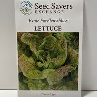 Thumbnail for Bunte Forellenschluss Lettuce Open Pollinated Seeds