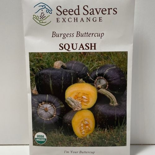 Organic Burgess Buttercup Squash Heirloom Open Pollinated Seeds