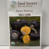 Thumbnail for Organic Burgess Buttercup Squash Heirloom Open Pollinated Seeds