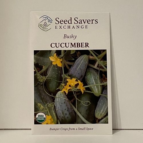 Bushy Cucumber Organic Seeds Open Pollinated