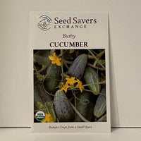 Thumbnail for Bushy Cucumber Organic Seeds Open Pollinated