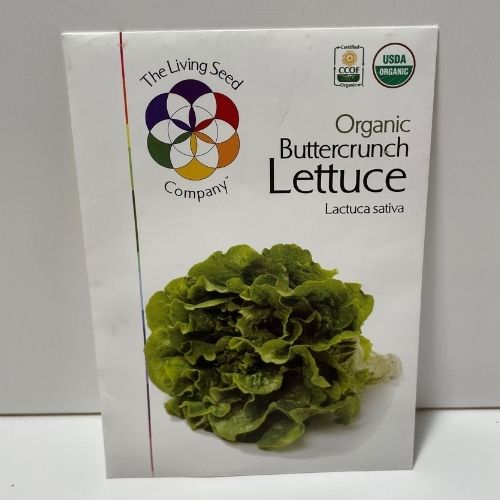 Organic Buttercrunch Lettuce Heirloom Open Pollinated Seeds