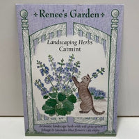 Thumbnail for Catmint Seeds