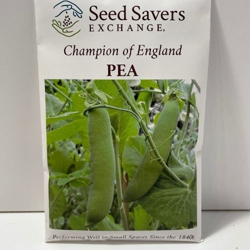 Champion of England Pea Heirloom Seeds