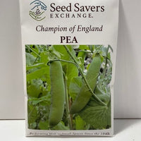 Thumbnail for Champion of England Pea Heirloom Seeds