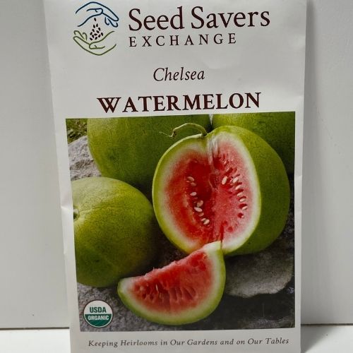 Organic Chelsea Watermelon,Heirloom Open Pollinated Seeds