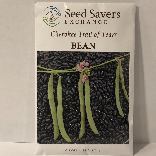 Cherokee Trail of Tears Pole Bean 1800’s Heirloom