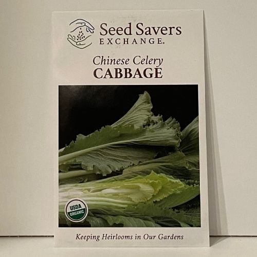 Organic Chinese Celery Cabbage Seeds Open-Pollinated