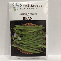 Thumbnail for Climbing French Bean, 1931 Heirloom