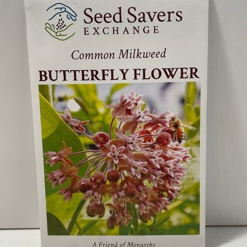 Common Milkweed Butterfly Flower Seeds