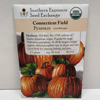 Thumbnail for Connecticut Field Pumpkin Seeds, Heirloom, pre-1700 Native American origin