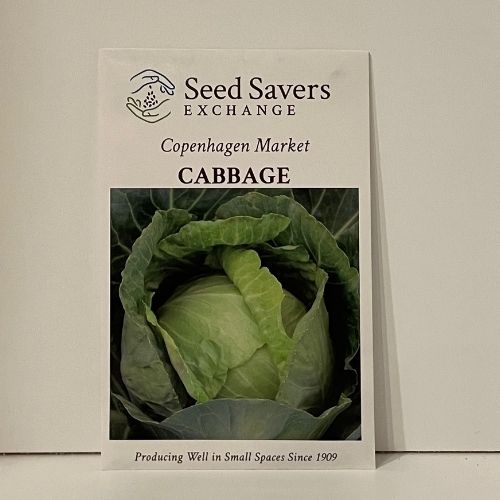 Copenhagen Market Cabbage Open-Pollinated Heirloom Seeds