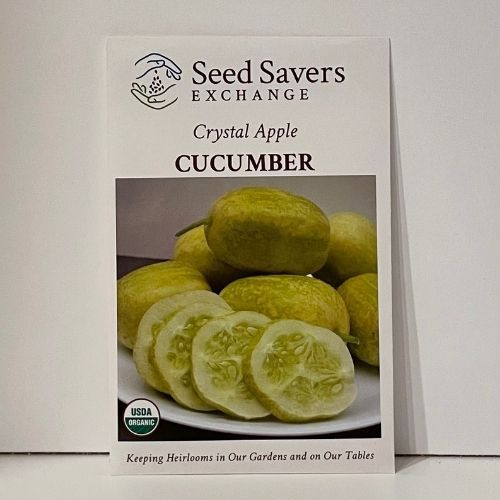 Crystal Apple Cucumber Organic Seeds Open-Pollinated